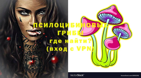 эйфоретик Михайлов