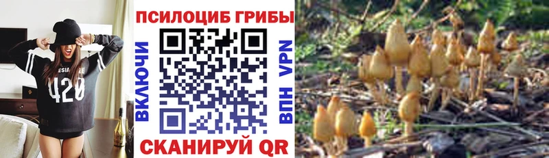 Галлюциногенные грибы прущие грибы  Фролово 