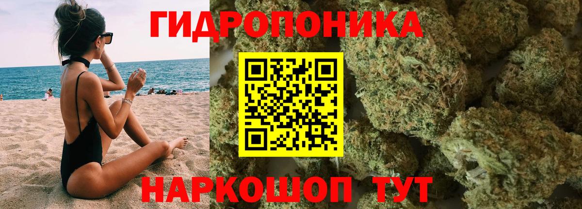 МАРИХУАНА сатива Фролово